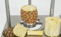 Ananas Schil-, Ontpit- en Snijmachine |   Complete apparatuur voor ananasverwerking
