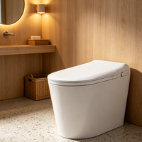 Asiento de Inodoro Inteligente de Cerámica Multifuncional Moderno con Sensor de Cierre Lento y Tapones Personalizados para Decoración de Villas