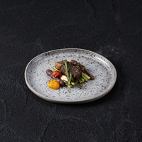 Assiette de Dîner en Céramique Gris Bleu de 11 Pouces, Sélection du Chef, en Grès, Compatible Lave-Vaisselle, pour Apéritifs et Plats Raffinés, Idéale pour Restaurants et Cafés