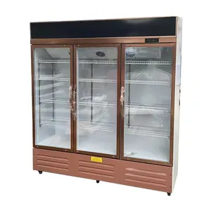 Commercial Showcase Fridge Beverage Display Ice Cooler Upright Display Freezer Commercial Glass Door Display refrigerators