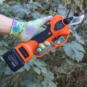 Sécateur électrique télescopique de 40 mm avec poignée en acier, qualité DIY, pour arbres et jardins, <span class=keywords><strong>prix</strong></span> usine - Product Image 3