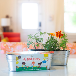 Kit di Coltivazione Indoor per Bambini 'La Mia Prima Casa' |   <span class=keywords><strong>Pomodoro</strong></span> e Calendula - Product Image 5