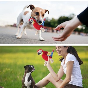 Juguete para Perros, Peluche Artificial con Sonido de Loro, Resistente a Mordidas, Juguete para Cachorros, Limpieza de Dientes, Entrenamiento Interactivo, Suministros para Perros - Product Image 6