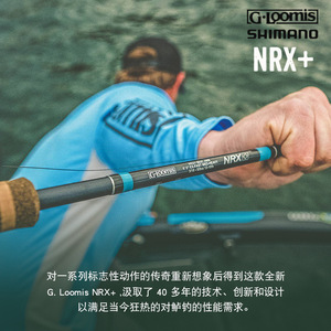 Canne à pêche Loomis NrX+ 6m, action moyenne rapide, pour la pêche au bar, guides SIC - Product Image 3