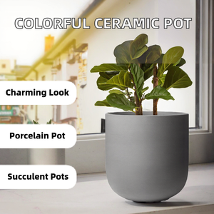 Nouveaux pots de fleurs ronds suspendus en céramique émaillée écologiques pour plantes succulentes, décoration moderne pour la maison et le jardin, cadeaux - Product Image 2