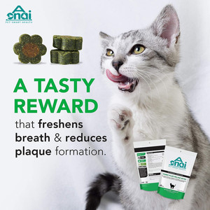 개를위한 치과 치료 고양이 치아 청소 및 구취 치료 개 치아 청소 파우더 프로 밝은 치과 분말 - Product Image 4