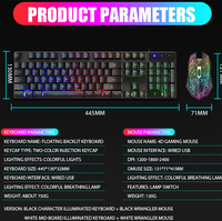 Ensemble clavier et souris RGB noir, touches transparentes, souris de jeu lumineuse 4D