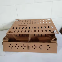 Design personnalisé Plus Carton 100pcs Boîte à oiseaux poussins vivants Boîte d'expédition Pigeon oiseaux vivants
