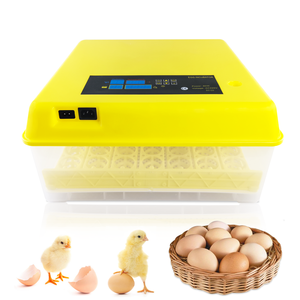 Máquina de incubación de huevos pequeños, controlador de temperatura y humedad, bandeja de plástico, pescado, profesional - Product Image 6