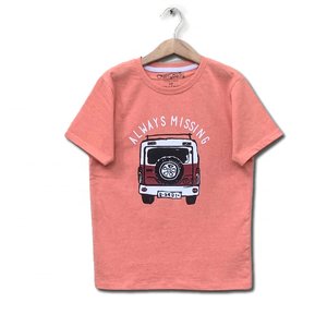 Verano 2025 algodón niños pequeños serigrafiado camisetas verano ropa casual ropa impresa para niños - Product Image 4