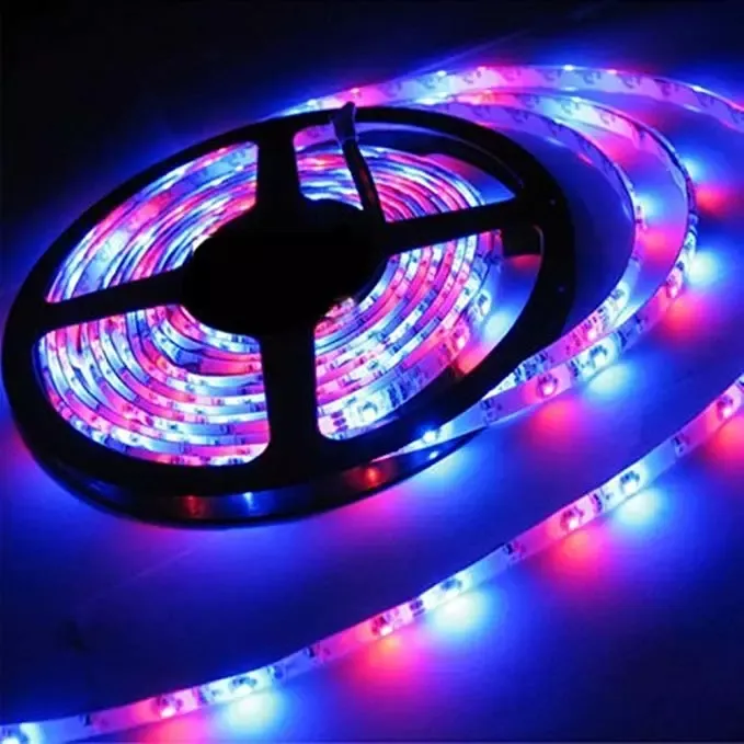 Factory price 5m neon led strip light 5050 rgb strips with remote control