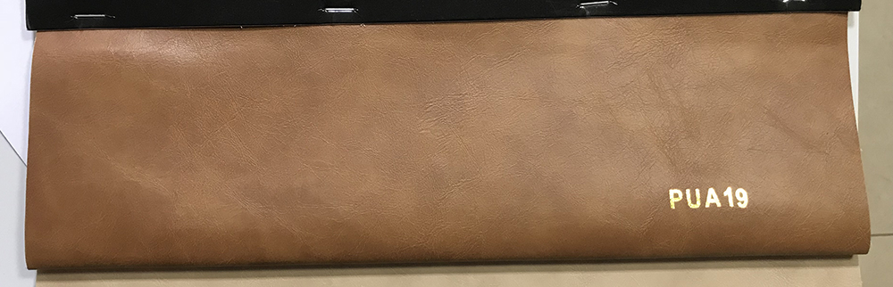 PUA19
