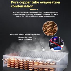 Vitrine commerciale à double porte refroidie par air congélateur en acier inoxydable pour vin verre à bière électrique pour Internet - Product Image 5