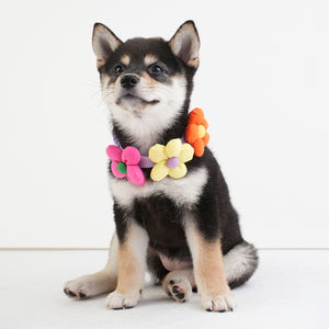 Kerah hewan peliharaan, aksesori hewan peliharaan Modern dapat disesuaikan kerah anjing dan kucing dengan bunga yang indah - Product Image 5