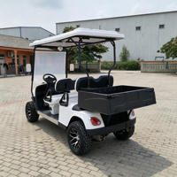 Voiturette de golf électrique 2 places avec coffre de chargement, batterie sans entretien 60V 100AH, pneus tout-terrain pour parcours de golf