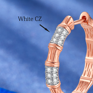 2025 minimaliste bijoux fins femmes brillant Zircon cercle boucles d'oreilles bicolore 925 en argent Sterling à la mode <span class=keywords><strong>immobilier</strong></span> - Product Image 3