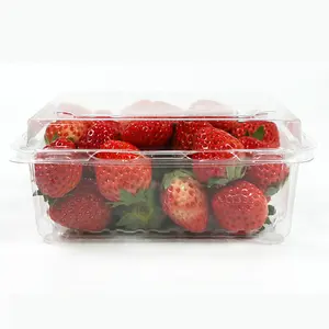 Échantillon gratuit Matériau de qualité alimentaire Récipient d'emballage en plastique pour salade de fruits Forme carrée transparente