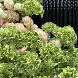 Hortensia simulada verde oscuro de Venta caliente Hortensia de tacto real 3D única floral artificial para arreglo floral - Product Image 4