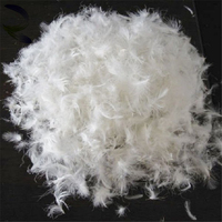 Vente en gros 2-4cm 4-6cm 10%-95% remplissage doux naturel blanc plumes de canard matériel de remplissage 90% blanc plumes d'oie en vente