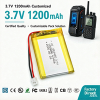 Baterai Lithium Polymer Isi Ulang Kapasitas Besar 1200 MAh, 500 Siklus, Dapat Disesuaikan, Suhu Operasi -20C hingga 60C untuk Konsumen