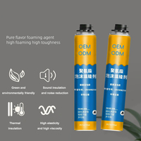 700ml mousse expansible porte fenêtre remplissage joint Pu pulvérisation mousse de montage extensible calfeutrage Pu mousse