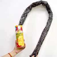 Snake in Chips Can Prank