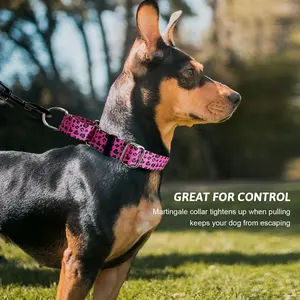 High Quality Pet Dog Training Collar Polyester Adjustable Heavy Duty Martingale Dog Collar