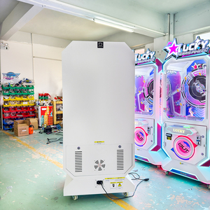 Promotion NAUGHTY DOG LPJ-MTL2 Machine de griffes d'arcade 'Grande Roue Porte-Bonheur' (Verre Trempé et Métal) pour Parcs d'Attractions du Guangdong, Vente en Gros - Product Image 4
