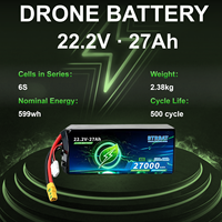 Paket Baterai Lithium Semi-Solid State BTR High Energy Density 6S 22.2V 5C untuk Drone, 500 Siklus untuk Pemetaan & Penyelamatan Kebakaran