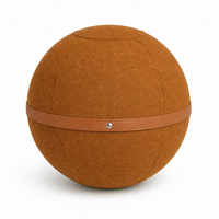 Chaise de yoga avec logo personnalisé, ballon d'équilibre anti-éclatement de 65 cm avec housse lavable et sangle de transport pour la maison et le bureau, ballon de yoga pour la stabilité