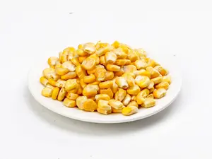 Jintian Good Price Sweet Premium Yellow Freeze Dried Corn Kernels For Distributor