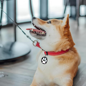 Chất lượng cao tùy chỉnh <span class=keywords><strong>Dog</strong></span> ID <span class=keywords><strong>tag</strong></span> Trống Tùy Chỉnh QR mã kim loại <span class=keywords><strong>Dog</strong></span> Tags cá nhân cho vật nuôi - Product Image 5