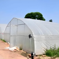 Serre agricole simple travée en acier galvanisé avec système hydroponique et couverture en PE pour tomates