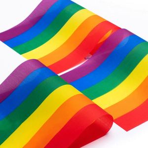 Banderas de Mano Miniatura Arcoíris (Mástiles de Plástico de Poliéster) Ecológicas y Duraderas para Desfiles LGBT y Mes del Orgullo - Product Image 5