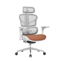 Milieu Du Dos Support Lombaire Fauteuil Visiteur Personnel De Travail Exécutif Ergonomique Chaise De Bureau