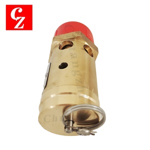 Soupape de sécurité de remplacement de haute qualité pour compresseur d'air Ingersoll Rand 99300626 - Product Image 3