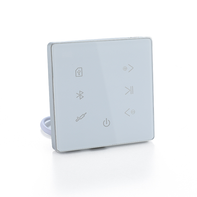 Apartment in Wifi Wall Amplifier Smart Home Audio System Background Music Amplifier