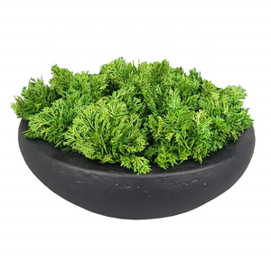 오 예술 제조업체 도매 시뮬레이션 식물 창 장식을위한 절묘한 냄비와 인공 다육 식물 - Product Image 4