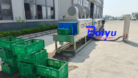 Machine à laver les palettes en acier inoxydable 304 pour l'industrie de la viande, des fruits de mer, des produits laitiers et de la transformation alimentaire