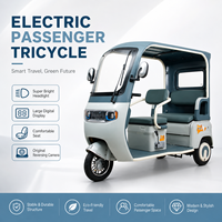 Tricycle électrique en gros 800W, véhicule de mobilité urbaine à trois roues pour 2 passagers