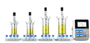 यू डी कस्टम उत्पाद किण्वन मशीन लैब स्केल ग्लास बेंचटॉप खमीर प्रोटीन प्लांट मायकेलियम बायोरिक्टर - Product Image 2