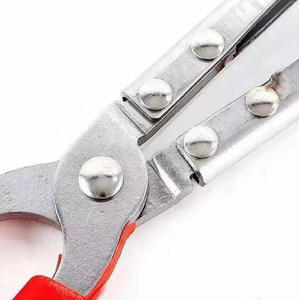 Pince à anguilles en acier inoxydable en gros, pince à loches pour la pêche, ciseaux droits et courbés, attache pour loches, anguilles, crabes, poignée <span class=keywords><strong>de</strong></span> pêche - Product Image 6