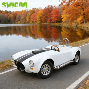 SWICOO Mini-voiture Cobra haute performance 2200W, avec bandes personnalisées, Buggy 2 places de qualité, Voiturette de golf Beetle - Product Image 4
