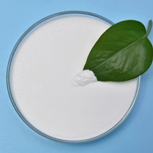 Lactobacillus paracasei para ingredientes alimentarios de fábrica de China polvo de probióticos liofilizados fabricante original - Product Image 1