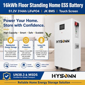 Battery Lithium 15kWh 16kWh 51.2V 314Ah Floor <b>Standing</b> Home Battery with BMS Touch Screen for EU Solar Market - Product Image 3
