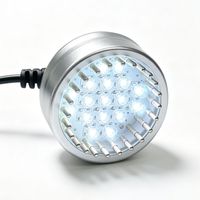 Produit Tendance 2026 : Appareil de Soin Capillaire par Électroporation, Dispositif à Microcourant, Masseur Facial Galvanique et Masseur de Cuir Chevelu