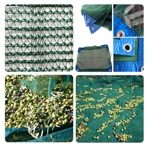 Filets <span class=keywords><strong>de</strong></span> récolte professionnels pour olives, filets <span class=keywords><strong>de</strong></span> récolte agricoles, filet <span class=keywords><strong>de</strong></span> récolte pour olives en <span class=keywords><strong>grille</strong></span> carrée en PEHD 100% traité anti-UV <span class=keywords><strong>de</strong></span> couleur vert foncé - Product Image 6