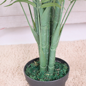 Cây Cảnh Cây Cọ Nhân Tạo Nhỏ Bán Chạy Cây Cọ Nhân Tạo Bán Chạy - Product Image 6