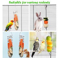 Support suspendu en métal pour fruits et légumes, design cage à crochets, pour accessoire d'alimentation et jouet pour rats et petits animaux