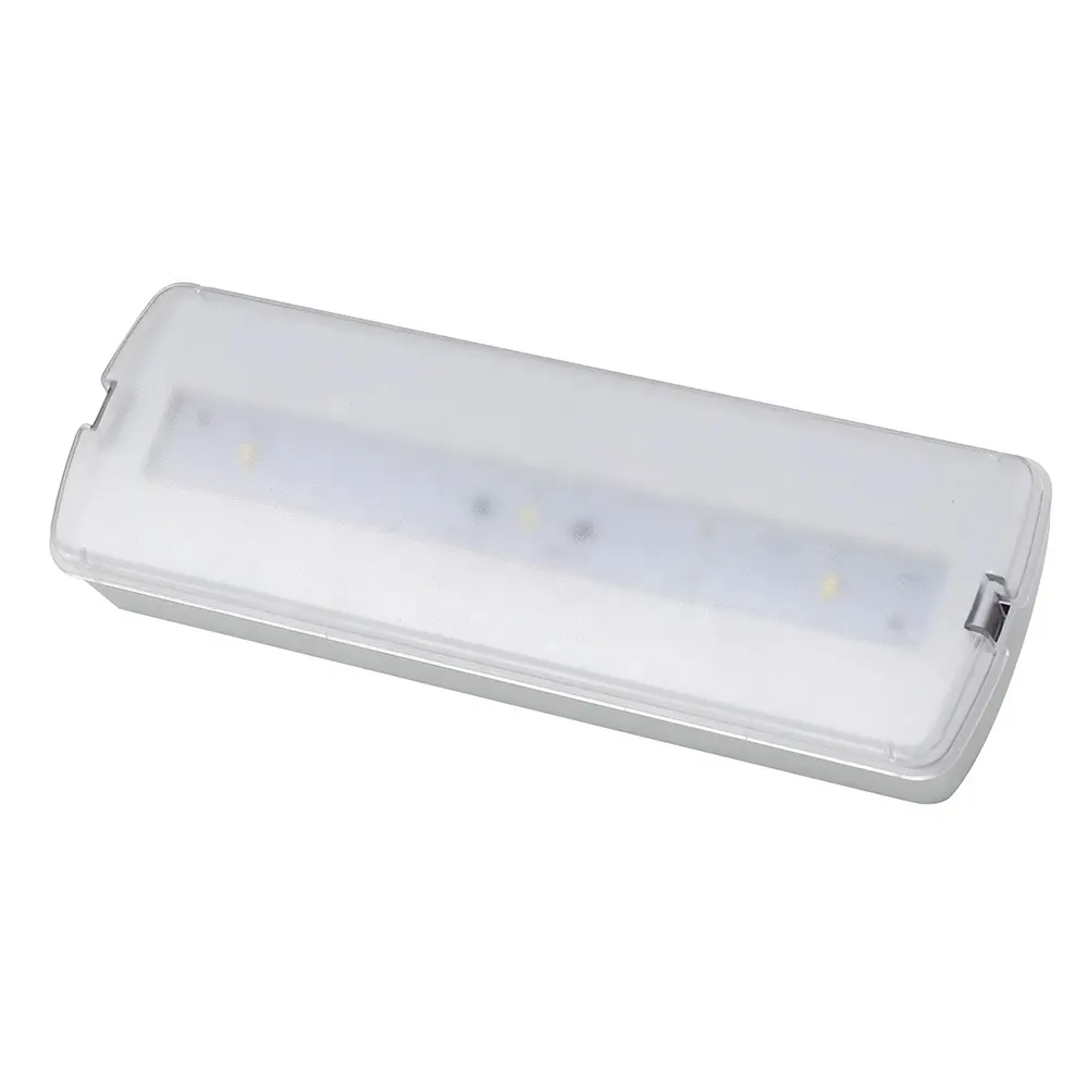 Easy Installation Battery Backup Led Emergency Light With Telecommand Function